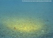 Untitled-15_photo