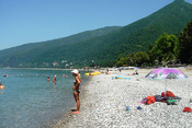 Plqw_v_gagree_photo
