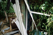 P6250004e_photo