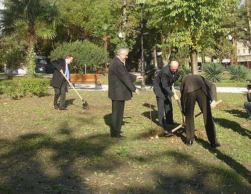 Депутаты нынешнего и "золотого" созывов парламента сажают деревья в парке у столичной администрации. Абхазия, Сухум, 26 ноября 2009 года. Фото "Кавказского Узла"