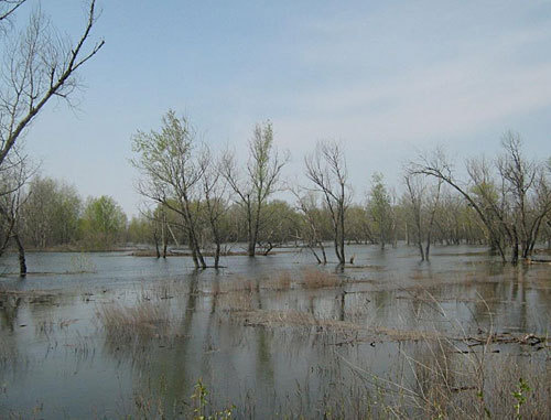 Катастрофический паводок 2003 года на реке Иловля. Фото "Кавказского Узла"