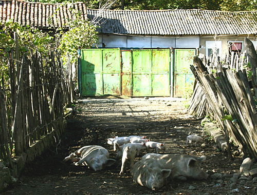 Жилой дом в селе Переви, октябрь 2010 года. Фото: http://springator.livejournal.com/