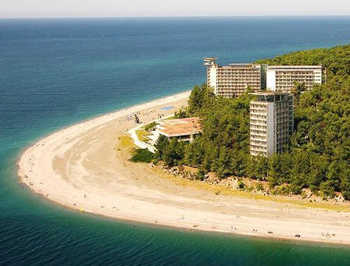 Курорт Пицунда, Абхазия. Фото с официального туристического сайта Республики Абхазия (http://abkhazia.travel), © Государственный комитет Республики Абхазия по курортам и туризму