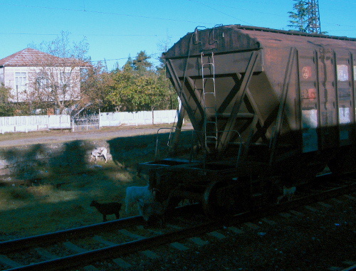 Товарный поезд на Грузинкой железной дороге, октябрь 2013 г. Фото Юлии Кашеты для "Кавказского узла"