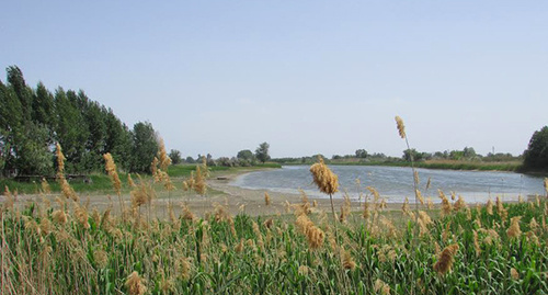 Озеро Клетское в Волго-Ахтубинской пойме потеряло более 50% своей площади. Фото Вячеслава Ященко для "Кавказского узла"