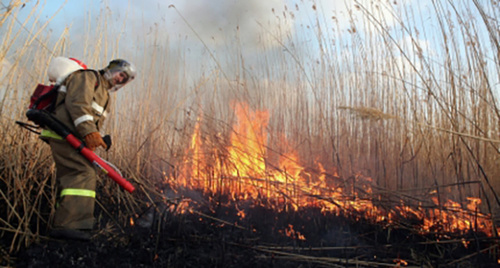 Тушение лесного пожара. Фото: http://34.mchs.gov.ru/pressroom/news/item/3130489/