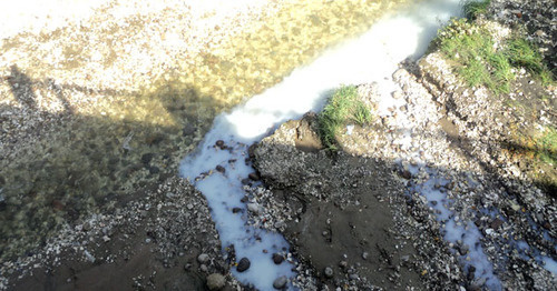 Загрязнение воды в реке Шалушка на окраине Нальчика. Октябрь 2015 г. Фото Людмилы Маратовой для "Кавказского узла"