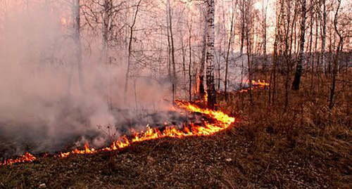 Лесной пожар. Фото: http://www.riadagestan.ru/news/tabasaranskiy_rayon/pozhary_v_lesakh_tabasaranskogo_rayona_likvidirovany/
