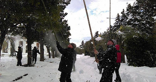 Жители Батуми помогают сбивать снег с деревьев. 4.01.2016. Фото facebook.com/BatumiBoulevard/