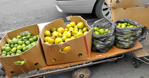 Торговля фруктами на российско-абхазской границе. Фото Анны Грицевич для "Кавказского узла"