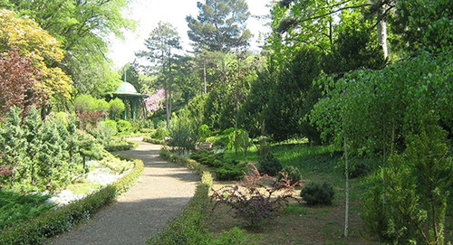 Ботанический сад в Тбилиси. Фото: © сайт Национального ботанического сада в Тбилиси, https://www.facebook.com/NBGGEO/timeline