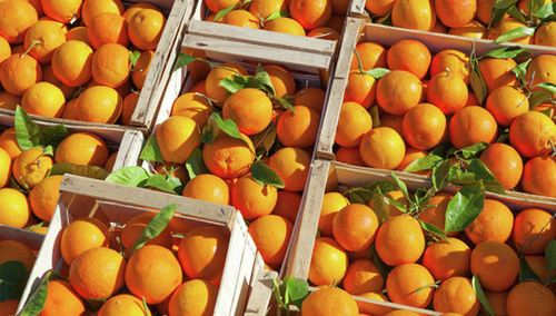 Ящики с апельсинами. Фото: http://www.99news.ru/obschestvo/3327-rosselhoznadzor-ne-pustil-v-rossiyu-bolee-50-tonn-apelsinov-iz-egipta.html