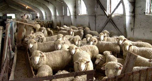  ������ ������� ������������ �������� ����������� ��������������� 