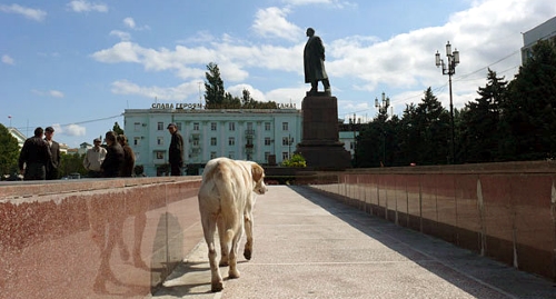 На площади Ленина в Махачкале. Фото Ахмеднаби Ахмеднабиева для "Кавказского узла"