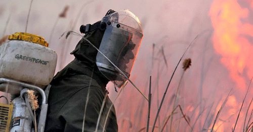 Представитель Greenpeace участвует в тушении пожара. Фото http://www.greenpeace.org/russia/ru/news/blogs/forests/c/blog/50815/