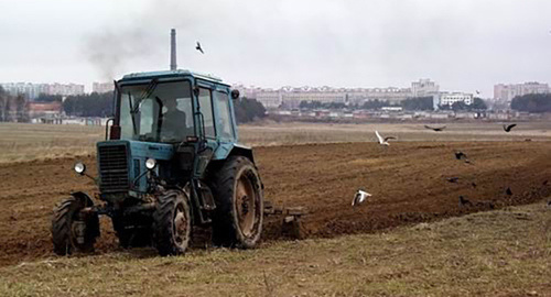 Трактор в поле. Фото http://rsnvrn.ucoz.ru/news/21_11_2012_g_khoroshie_urozhai_s_plodorodnykh_zemel/2012-11-21-886