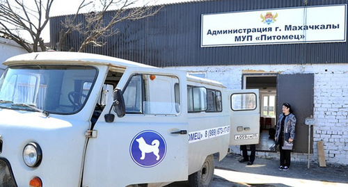 Питомник для бродячих собак в Махачкале. Фото http://www.riadagestan.ru/news/makhachkala/makhachkalinskiy