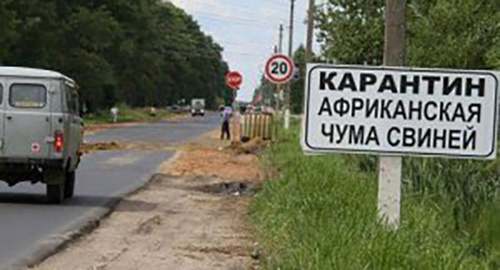Табличка с предупреждением об АЧС на дороге. Фото http://piginfo.ru/news/?SECTION_ID=&ELEMENT_ID=13216
