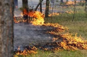 Пожар в лесу. Фото http://bloknot-stavropol.ru/news/o-vysokoy-pozharoopasnosti-v-ponedelnik-predupredi