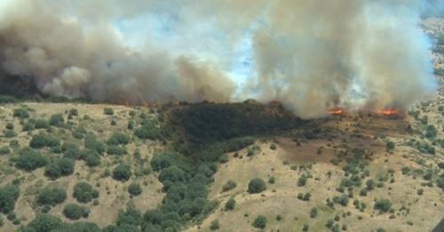 Пожар в Хосровском заповеднике, 12 августа 2017 года, фото: сайт МЧС Армении
