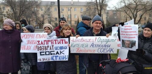 Активисты держат плакаты в поддержку идеи об умерщвлении бродячих собак в Астраханской области. Астрахань, 23 декабря 2023 года. Фото предоставлено "Кавказскому узлу" Евгением Дунаевым.