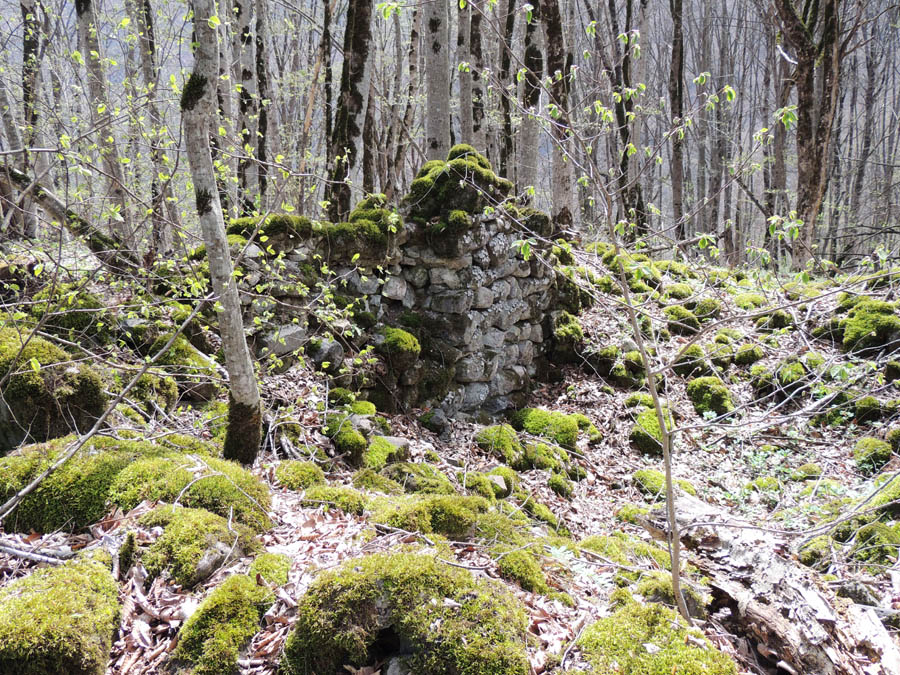 Развалины монастырского комплекса "Охты ехцы". Остатки монастырской стены.