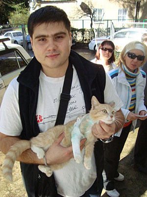 Ветеринар Общественной благотворительной организации защиты бродячих животных с бездомной кошкой. Фото "Кавказского Узла"