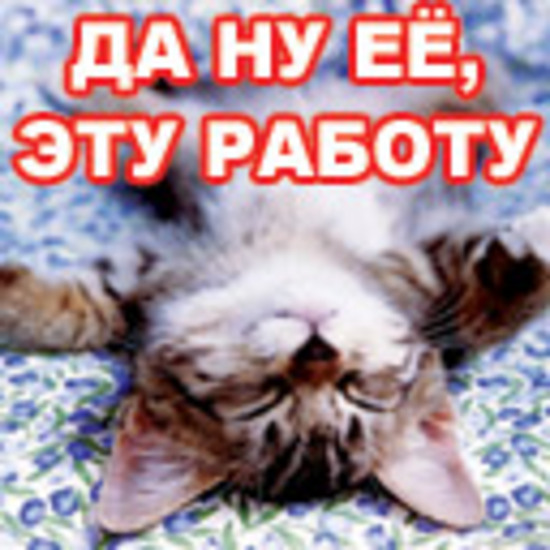 Правильно, совершенно согласен с этим котиком!:)))