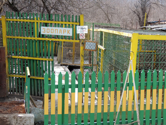 Зоопарк. Вход. Зоопарк. Вход.