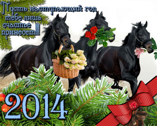 Новый 2014 год! Новый 2014 год!