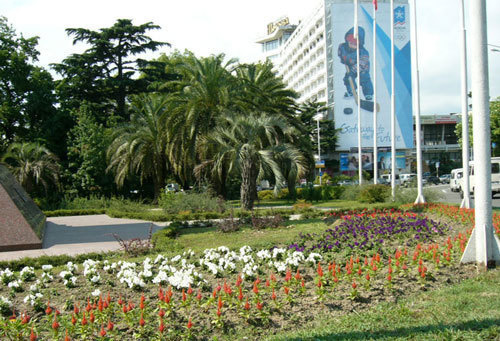 Центр Сочи. Фото с сайта www.autosaratov.ru Центр Сочи. Фото с сайта www.autosaratov.ru