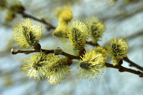 Фото с сайта www.taday.ru Фото с сайта www.taday.ru