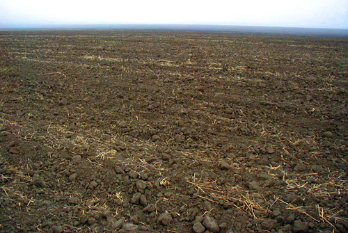 Поле в Ачхой-Мартановском районе Чечни. Фото с сайта www.chechnyafree.ru Поле в Ачхой-Мартановском районе Чечни. Фото с сайта www.chechnyafree.ru