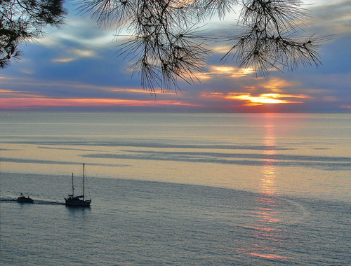 Сочи. Вид на море. Автор фото: В.Алексеев. Источник: www.lensart.ru Сочи. Вид на море. Автор фото: В.Алексеев. Источник: www.lensart.ru