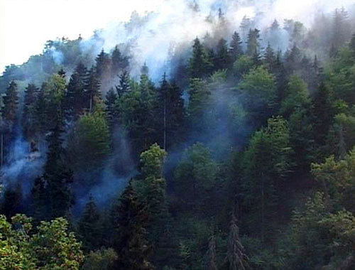 Пожар около села Ацкури (Грузия), 12 августа 2010 года. Фото с сайта www.ekhokavkaza.com, автор Майя Ивелашвили Пожар около села Ацкури (Грузия), 12 августа 2010 года. Фото с сайта www.ekhokavkaza.com, автор Майя Ивелашвили