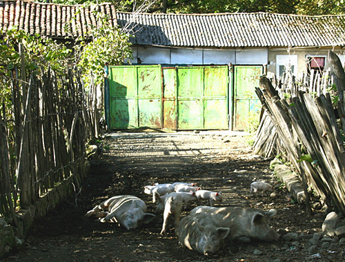 Жилой дом в селе Переви, октябрь 2010 года. Фото: http://springator.livejournal.com/ Жилой дом в селе Переви, октябрь 2010 года. Фото: http://springator.livejournal.com/