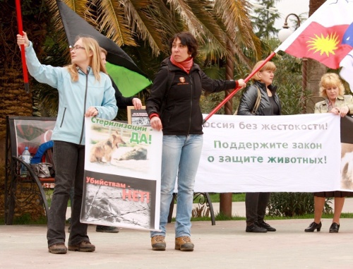 Акция "Россия без жестокости" в Сочи, 23 апреля 2011 г. Фото "Кавказского узла" Акция "Россия без жестокости" в Сочи, 23 апреля 2011 г. Фото "Кавказского узла"