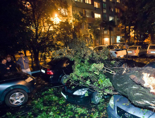 Последствия урагана в Сочи 26 сентября 2013 г. Фото: http://www.privetsochi.ru/blog/extreme_sochi/34804.html Последствия урагана в Сочи 26 сентября 2013 г. Фото: http://www.privetsochi.ru/blog/extreme_sochi/34804.html