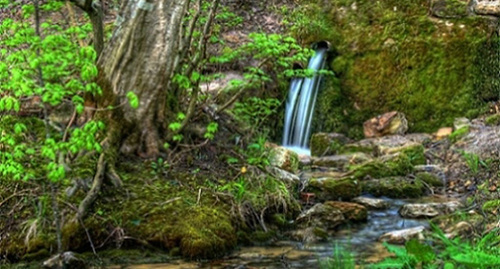 Таманская лесная дача, Ставрополь. Фото: http://www.contrasterra.ru/news/4609 Таманская лесная дача, Ставрополь. Фото: http://www.contrasterra.ru/news/4609