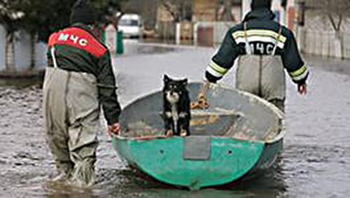 Спасательные работы в половодье. Фото из архива МЧС. http://www.61.mchs.gov.ru/operationalpage/emergency/detail.php?ID=27839 Спасательные работы в половодье. Фото из архива МЧС. http://www.61.mchs.gov.ru/operationalpage/emergency/detail.php?ID=27839