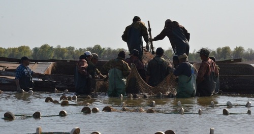 В акватории Каспийского моря браконьеры предпочитают вести промысел на суднах типа "байда". Фото: https://www.astrobl.ru/news/83851 В акватории Каспийского моря браконьеры предпочитают вести промысел на суднах типа "байда". Фото: https://www.astrobl.ru/news/83851