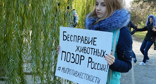 Участница митинга в Волгограде 05.11.2016. Фото Татьяны Филимоновой для "Кавказского узла" Участница митинга в Волгограде 05.11.2016. Фото Татьяны Филимоновой для "Кавказского узла"
