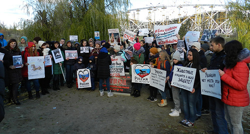 Участники митинга в Волгограде 05.11.2016. Фото Татьяны Филимоновой для "Кавказского узла" Участники митинга в Волгограде 05.11.2016. Фото Татьяны Филимоновой для "Кавказского узла"