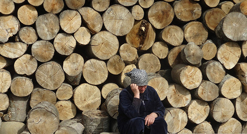Пожилая женщина в Южной Осетии. Фото Нелли Габараева
 http://sputnik-ossetia.ru/South_Ossetia/20160218/1334304.html