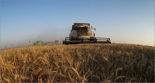 Сбор урожая. http://agroinfo.com/rosagrolizing-pomog-agrariyam-kryma-provesti-uborku-zernovyx-2509201505/ Сбор урожая. http://agroinfo.com/rosagrolizing-pomog-agrariyam-kryma-provesti-uborku-zernovyx-2509201505/
