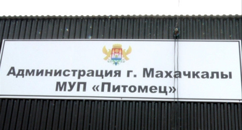 Табличка при входе на территорию махачкалинского МУП «Питомец» Фото http://realdagestan.ru/news/v_makhachkale_nachali_sterilizaciju_bezdomnykh_zhivotnykh_i_kontrol_za_ikh_populjaciej/2017-03-20-3834 Табличка при входе на территорию махачкалинского МУП «Питомец» Фото http://realdagestan.ru/news/v_makhachkale_nachali_sterilizaciju_bezdomnykh_zhivotnykh_i_kontrol_za_ikh_populjaciej/2017-03-20-3834