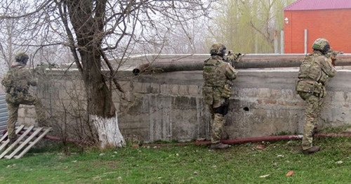 Спецоперация. Фото http://nac.gov.ru Спецоперация. Фото http://nac.gov.ru