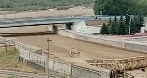 Сель в Тырныаузе. Фото: Стоп-кадр видео https://www.youtube.com/watch?v=fEYL0untmnE Сель в Тырныаузе. Фото: Стоп-кадр видео https://www.youtube.com/watch?v=fEYL0untmnE