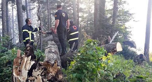 Пожарные тушат огонь в Национальном парке Грузии Фото https://www.facebook.com/163336040510811/photos/ms.c.eJw9ysEJACAMA8CNpKZNSfZfTCri8~_CEIpG9g1R6aWxHpVRbz~_pr4Ht~_yAed5Az0.bps.a.824552324389176.1073742904.163336040510811/824559861055089/?type=3&theater Пожарные тушат огонь в Национальном парке Грузии Фото https://www.facebook.com/163336040510811/photos/ms.c.eJw9ysEJACAMA8CNpKZNSfZfTCri8~_CEIpG9g1R6aWxHpVRbz~_pr4Ht~_yAed5Az0.bps.a.824552324389176.1073742904.163336040510811/824559861055089/?type=3&theater