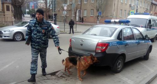 Кинолог в Ростове-на-Дону. Фото Константина Волгина для "Кавказского узла". Кинолог в Ростове-на-Дону. Фото Константина Волгина для "Кавказского узла".